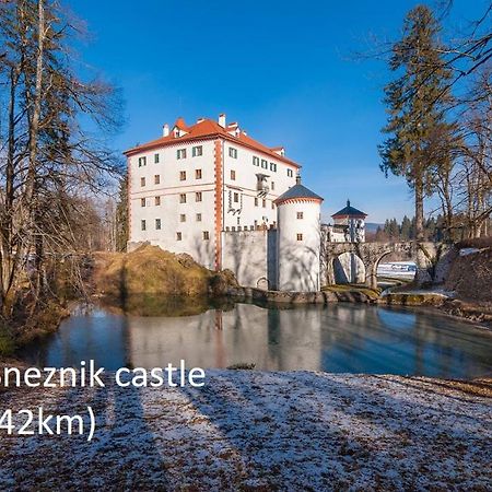 Tiny House With A Big Heart Villa Postojna Buitenkant foto